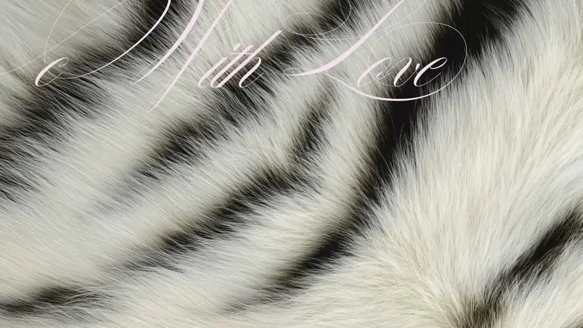 🐈‍⬛Mahiro /eyelash🌙の掲載