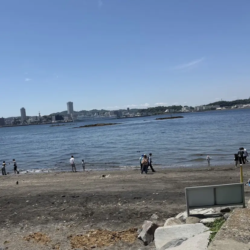 山崎 朋代の掲載