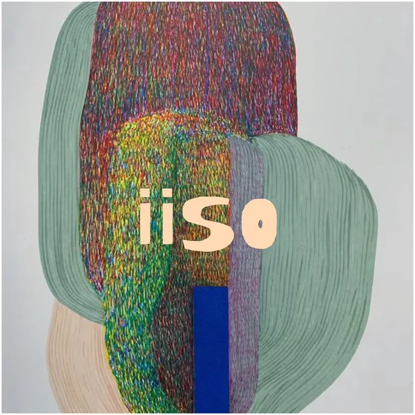 45 iisoの掲載