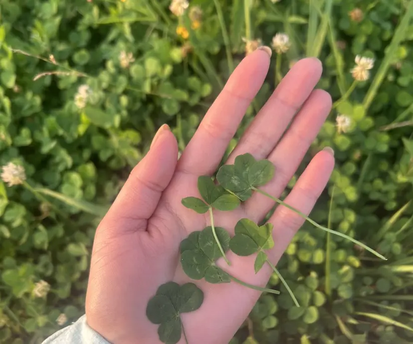 透明感艶カラー /自由が丘🌼ひなたの掲載