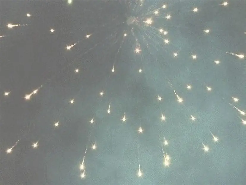 金木 凜花の掲載