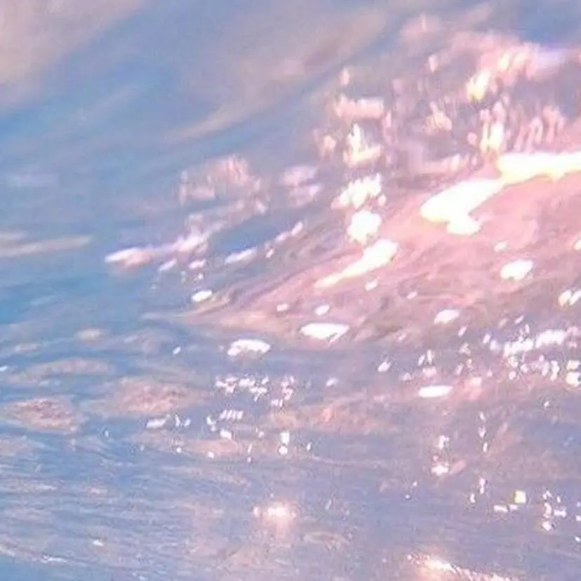 Cleo伏見店🌿 Momokaの掲載