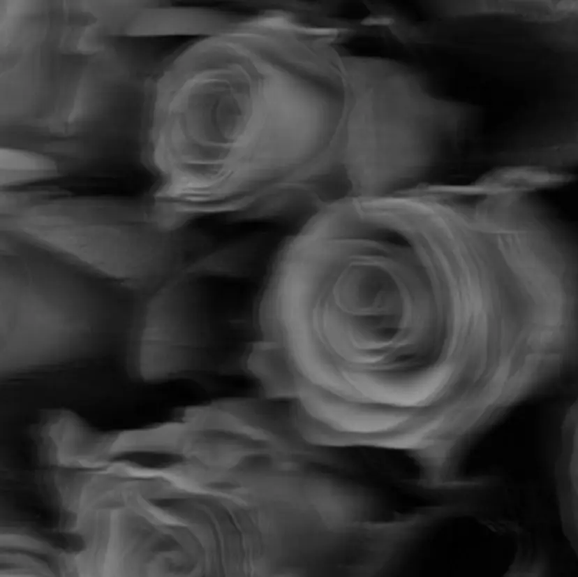 萩原 大翔の掲載