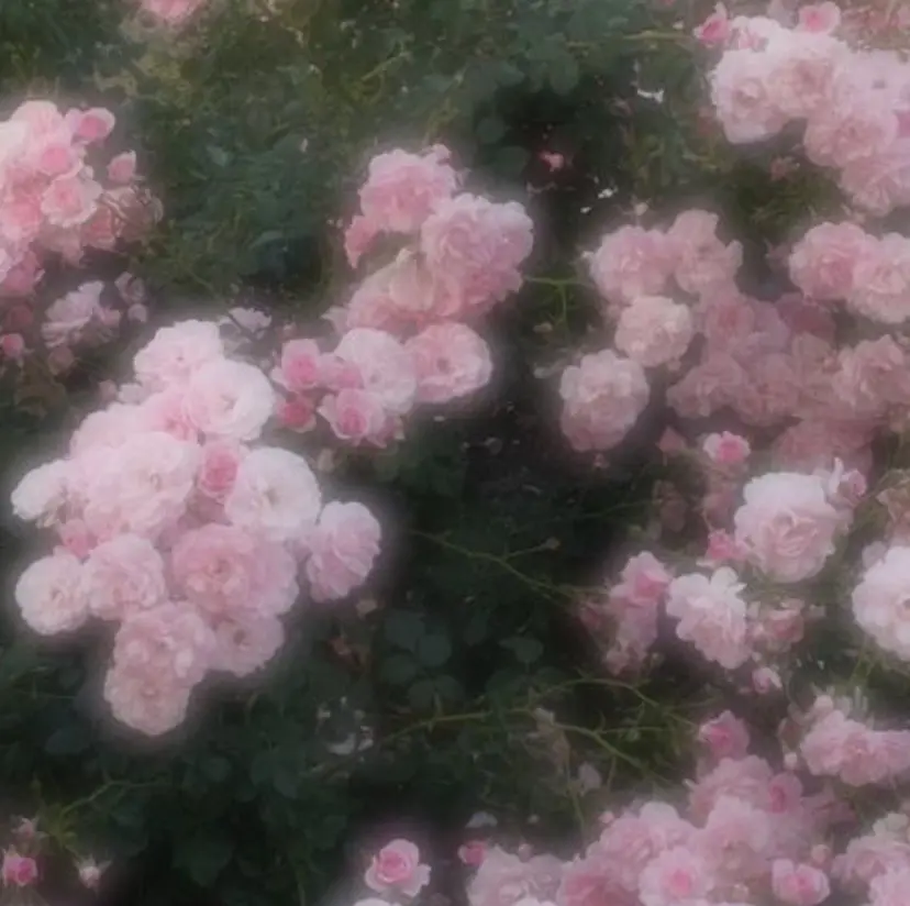 髙橋 愛子の掲載