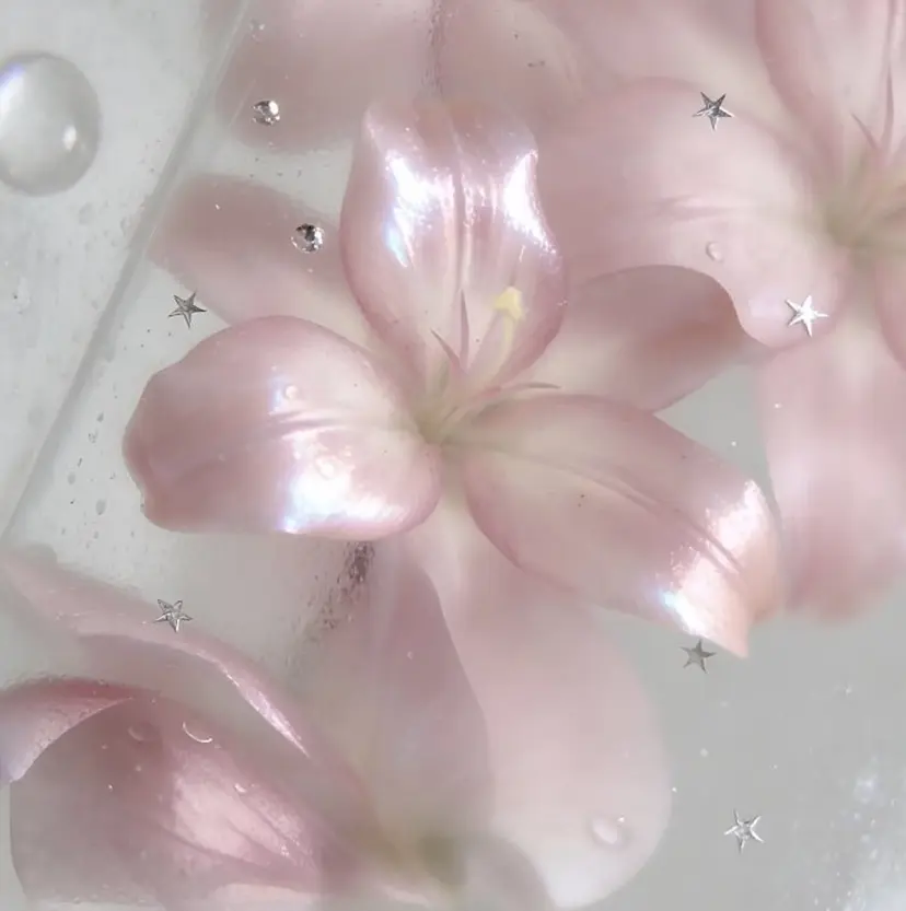 さ きの掲載