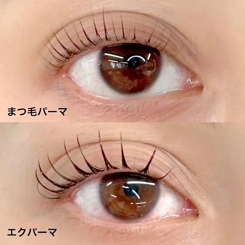 Lahde MAYUの掲載