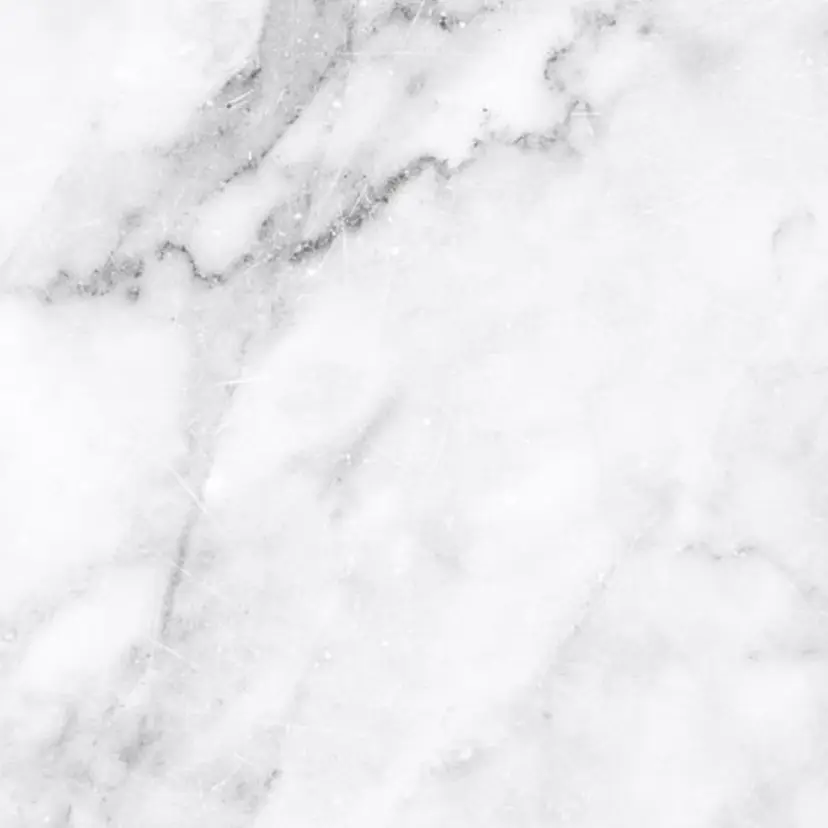 ニトウ レイナ🌺🌴🐠の掲載