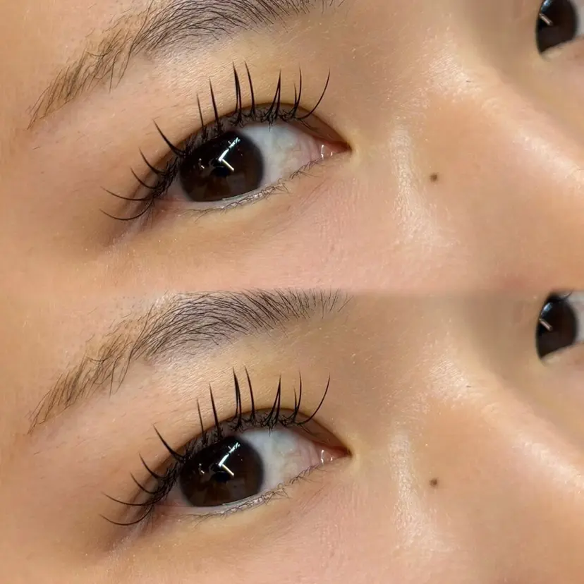 HINA ヒナの掲載