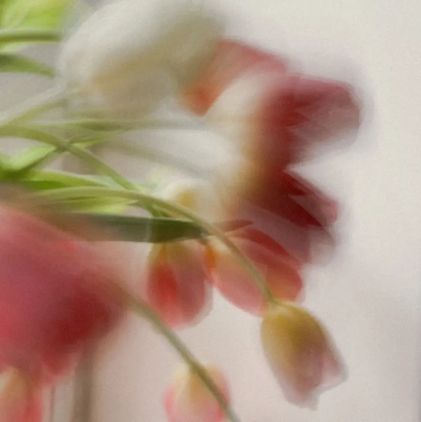 久屋大通 DEE yuuka.Sの掲載