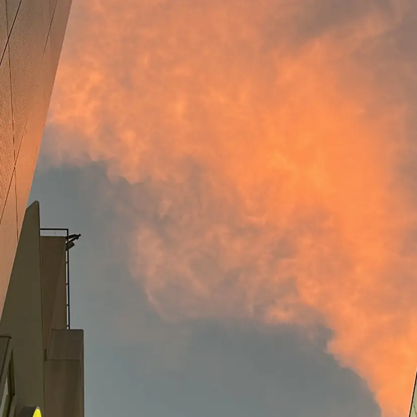 ムナカタ アカリの掲載