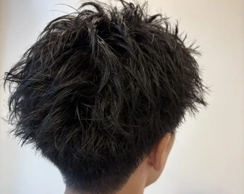 正見 航佑の掲載