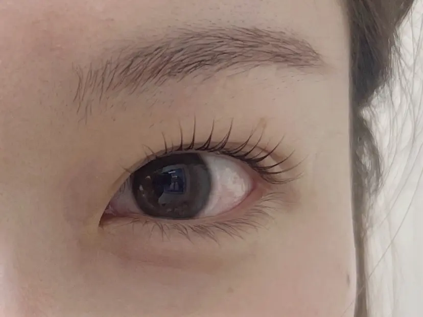 いませ まいの掲載