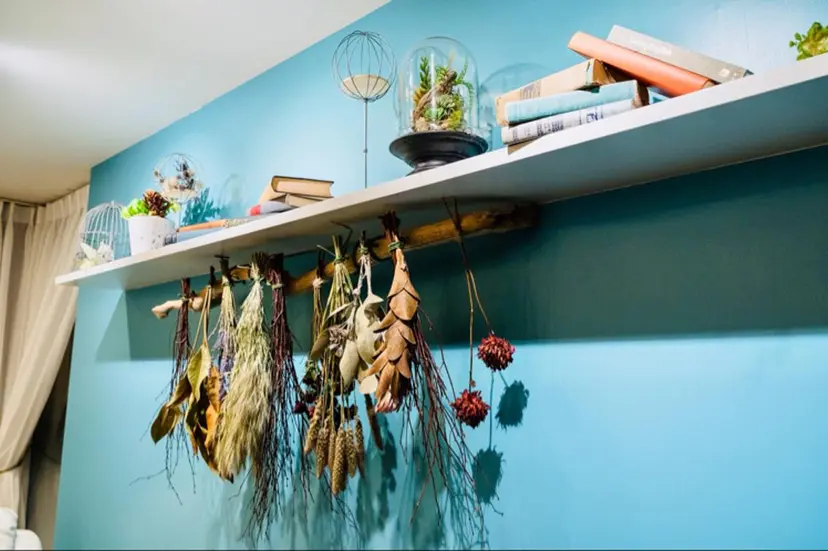 tricot 藤元の掲載