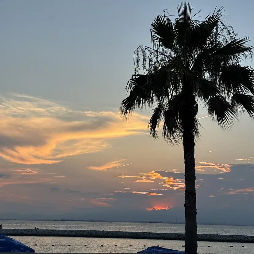 大瀧 聖也 /パーマ/艶髪カラーの掲載