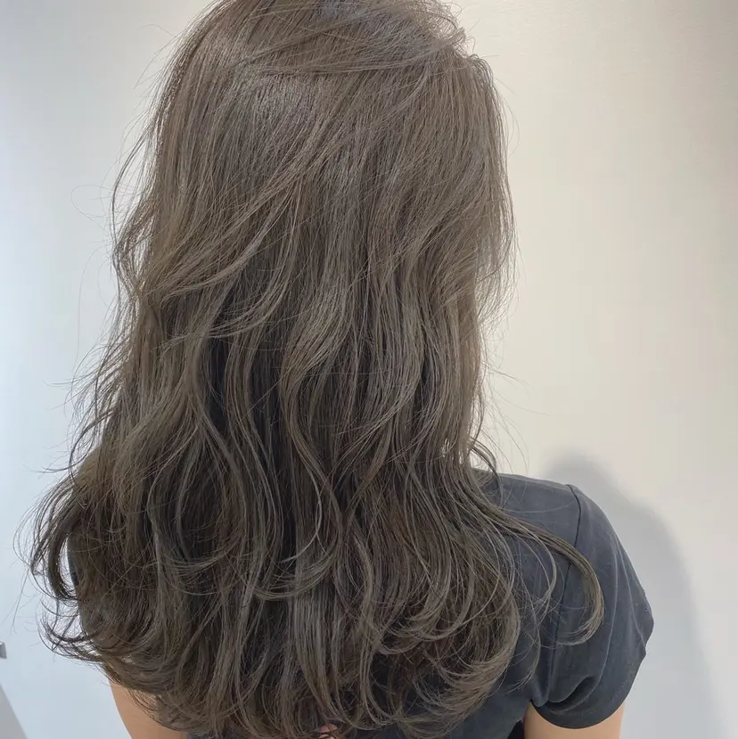 庄司 木綿の掲載