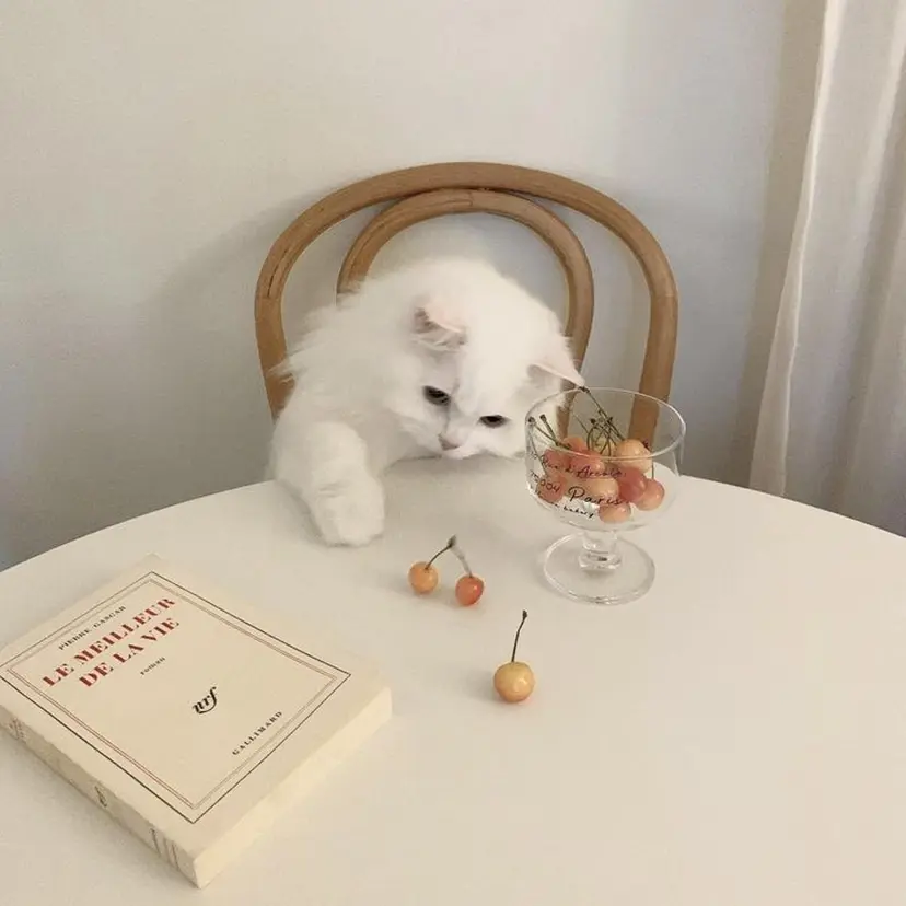 うにゃねいる ✿ harunaの掲載