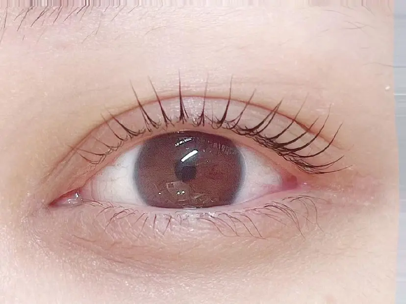 CHIAI IMAGE-Aの掲載