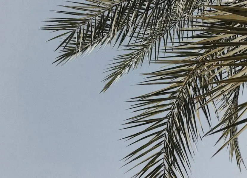 𝐞𝐢𝐠𝐡𝐭 Yamane🐰💜の掲載