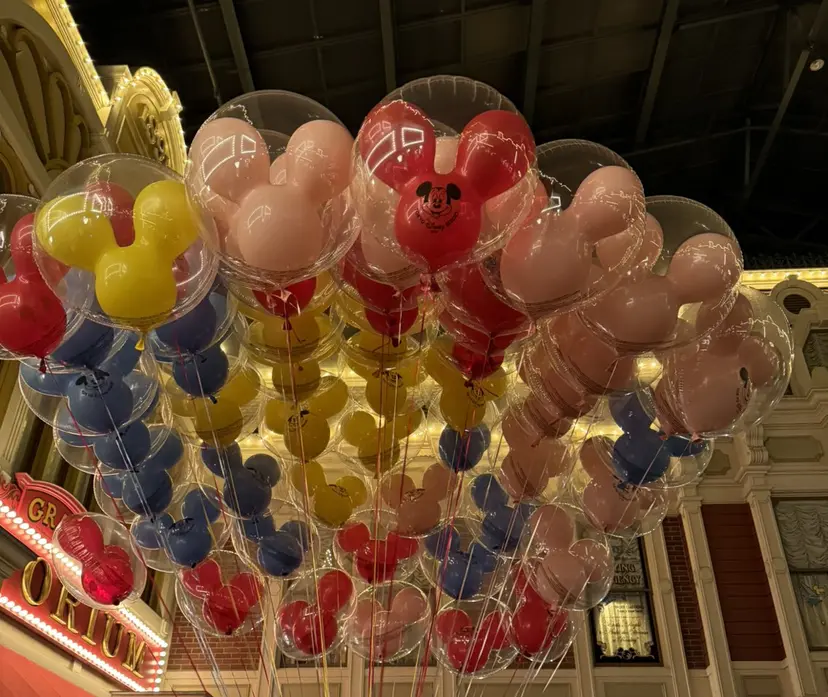 西本 望美の掲載