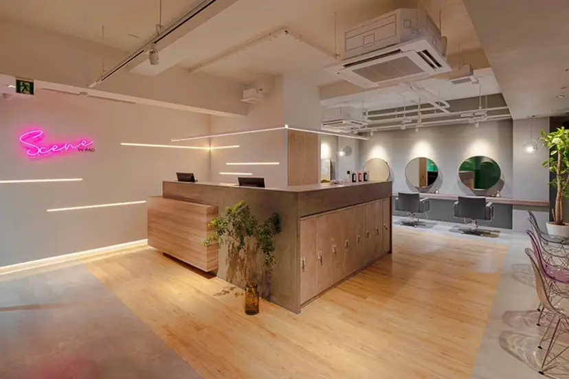 Sylph & SCENEの掲載