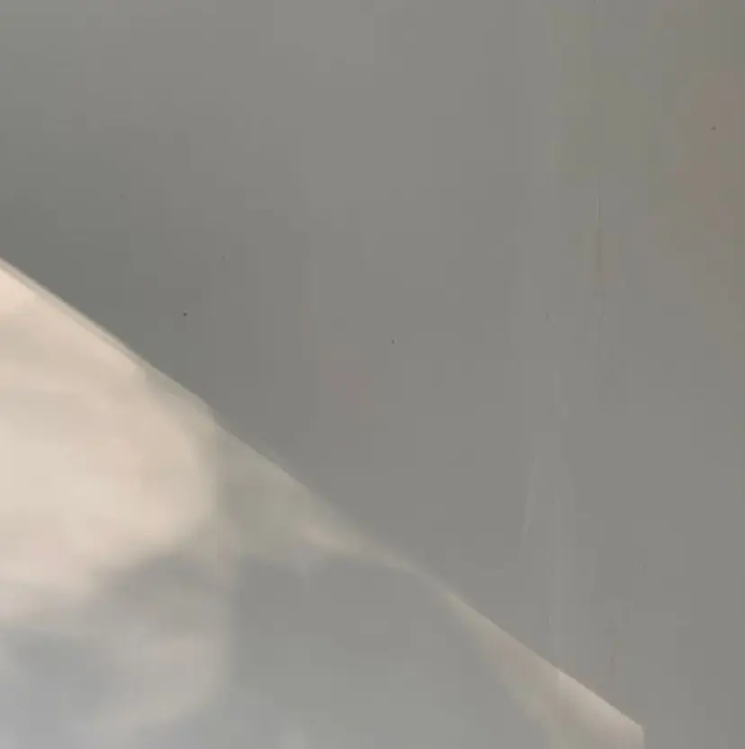 【Cura】 ねねの掲載