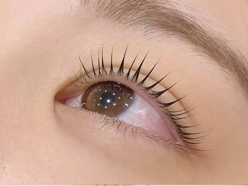 Raku 🪽🩵の掲載