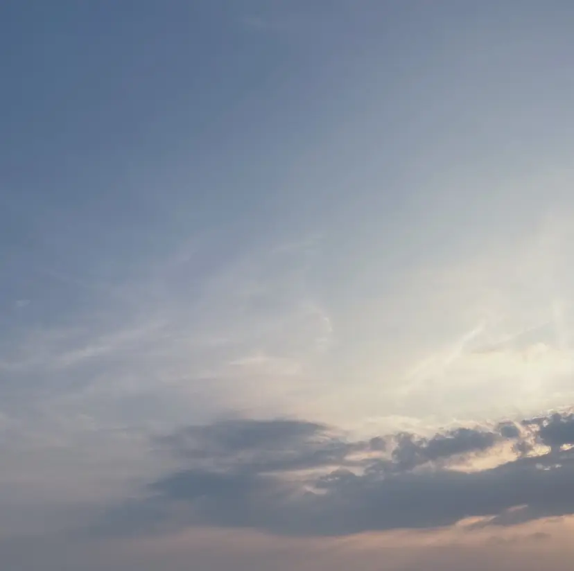 Rinata 錦織の掲載