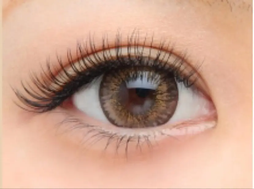 pluseye ishikawaの掲載