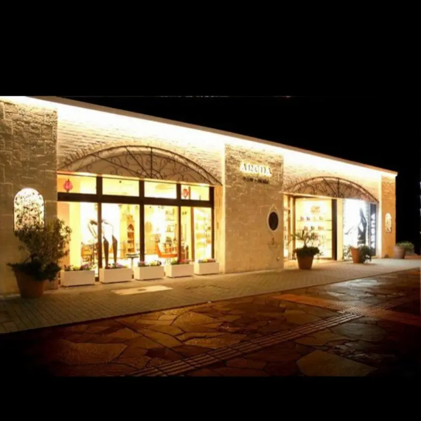 日向 美乃里の掲載