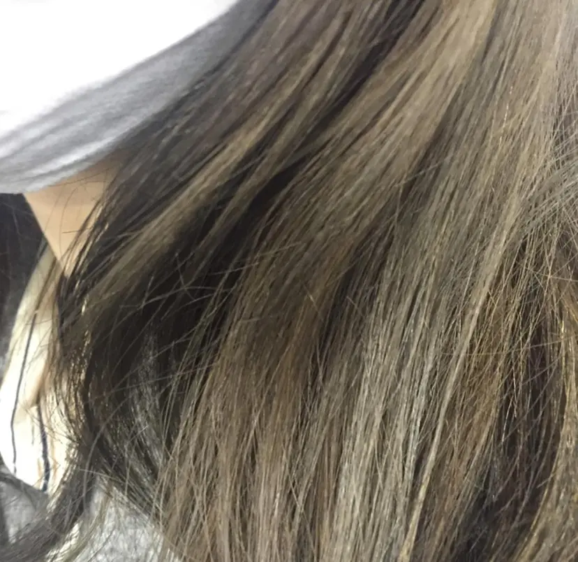 長嶺 悠樹の掲載