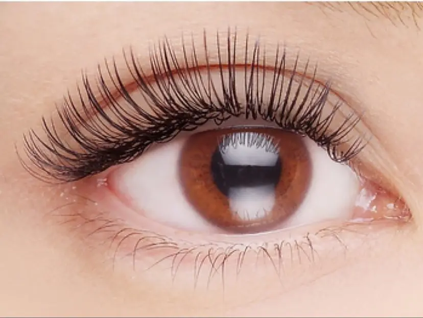 Life&TRIP beautyの掲載