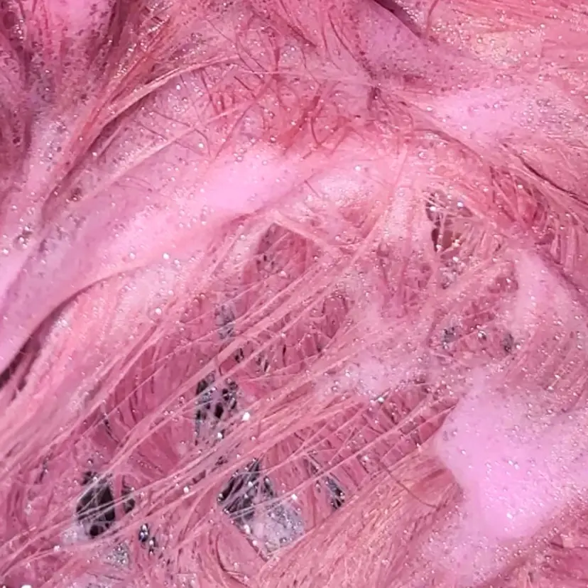 原宿パーソナルカラー 診断／hina✨🧚の掲載