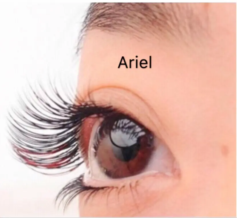 羽賀 美和の掲載