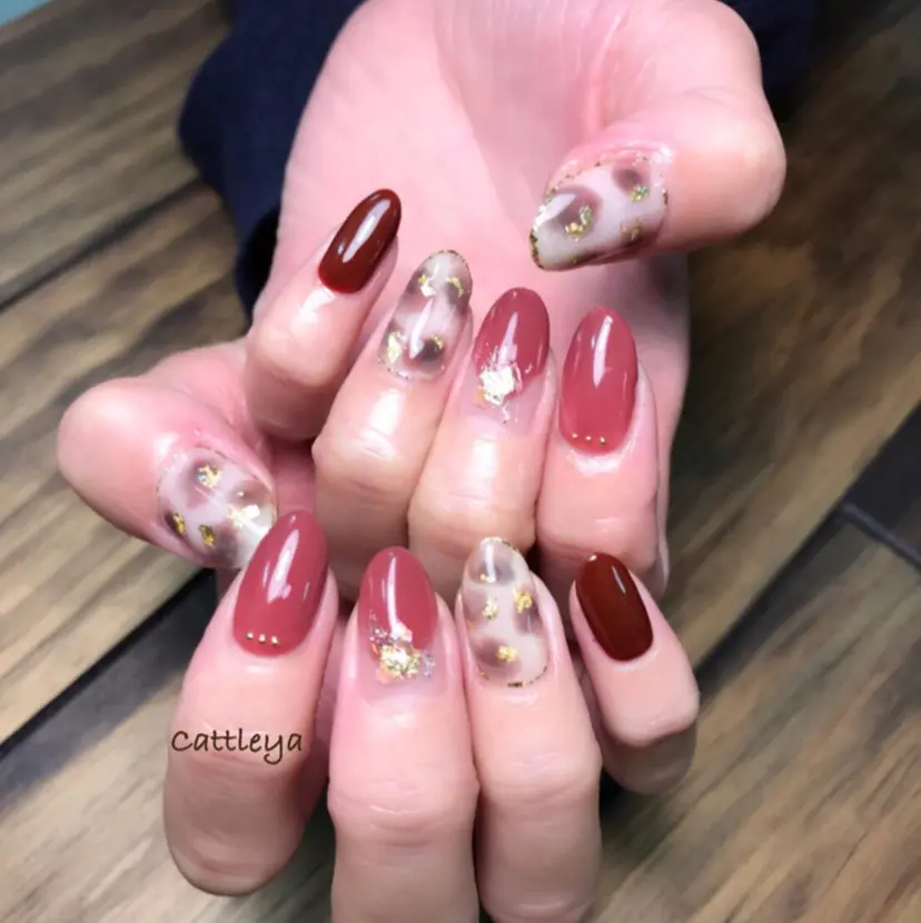 Cattleya meguの掲載