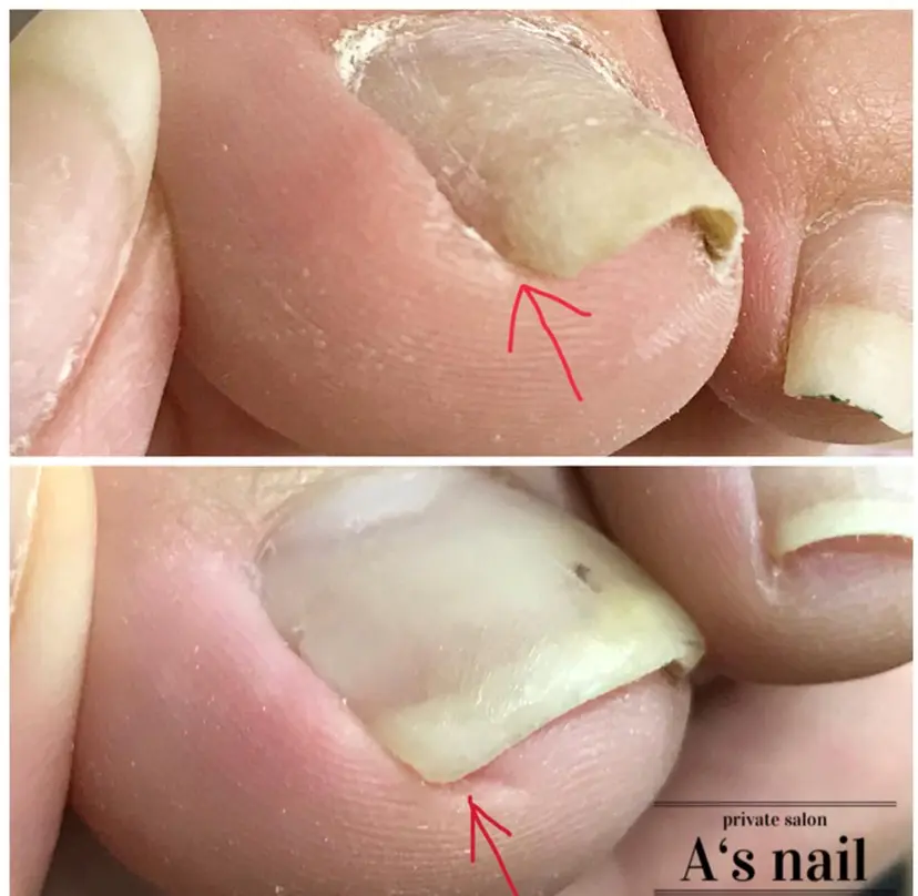 比嘉 彩香の掲載