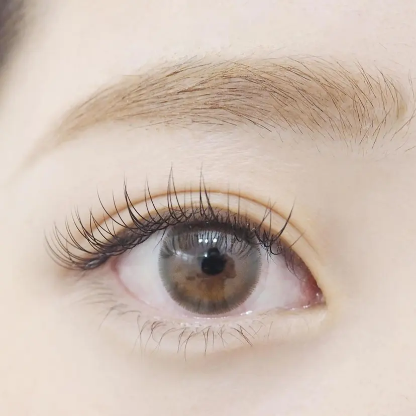 glee モデル募集の掲載