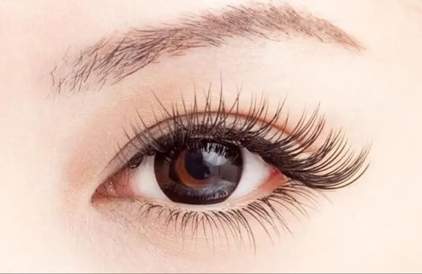 churara チュララの掲載