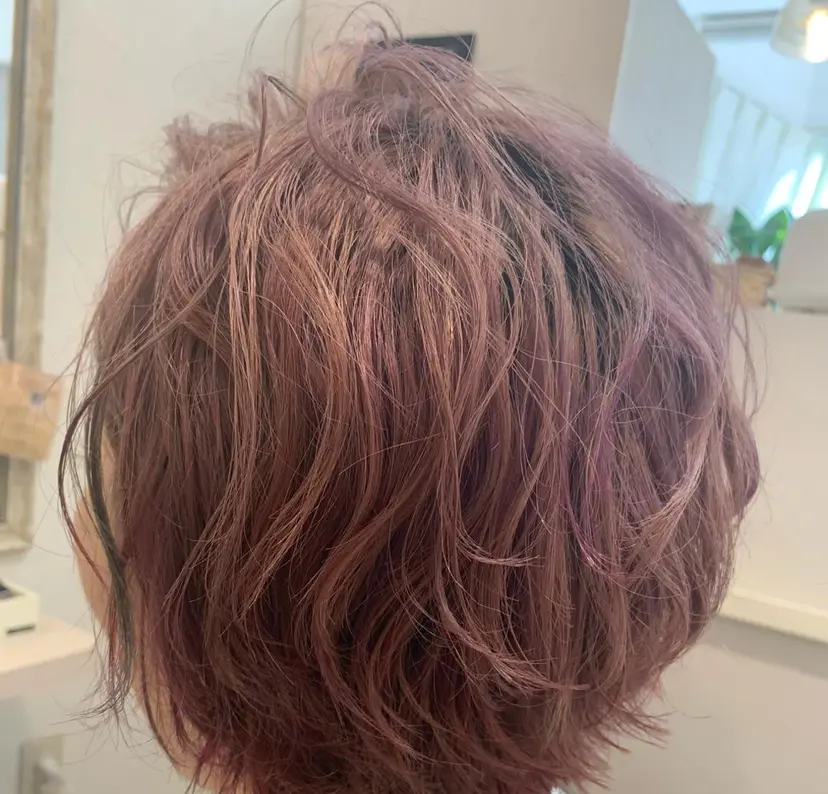 池田 麻衣子の掲載