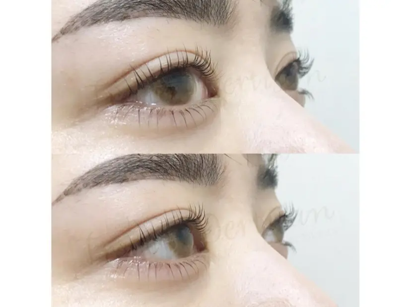 トレヴァーデルチザン inuiの掲載