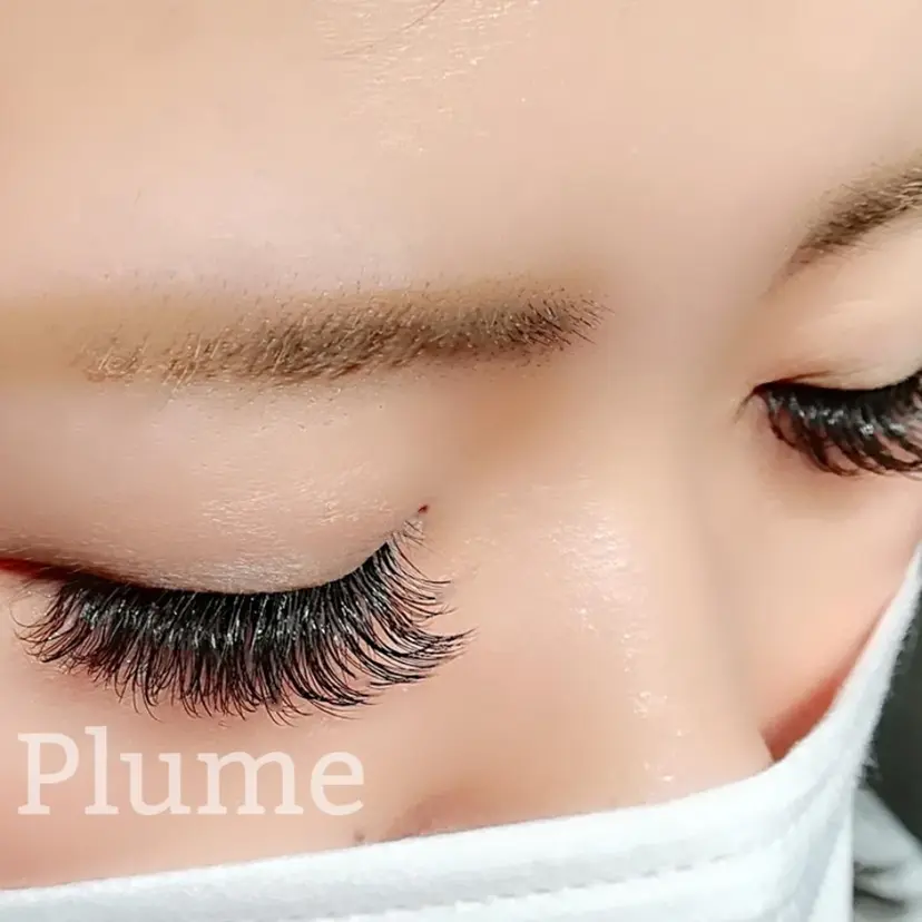 Plume 逢坂の掲載