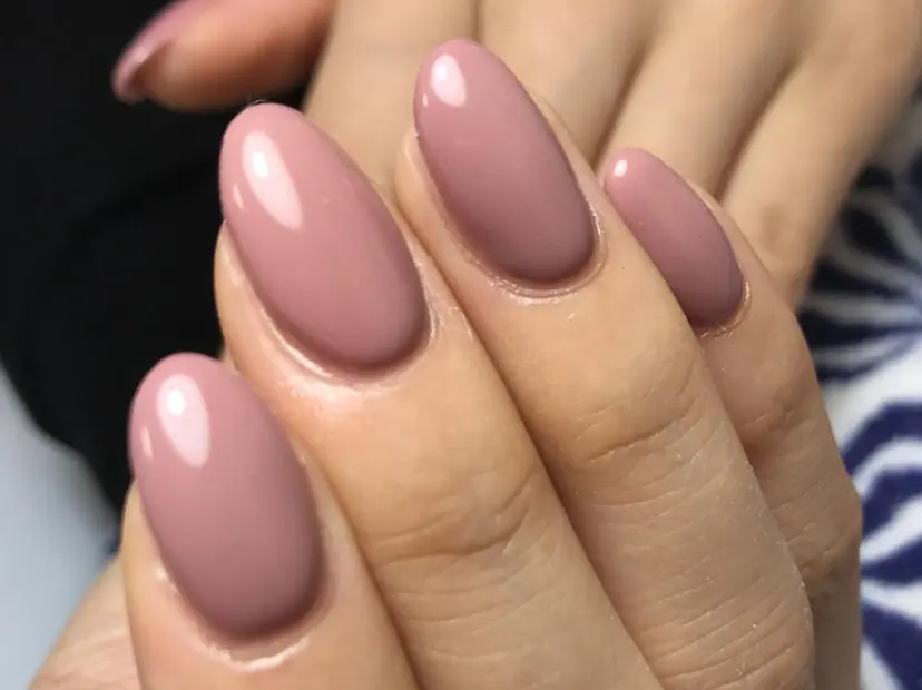 Disini nailの掲載