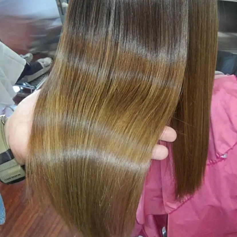 Laurel ローレルの掲載