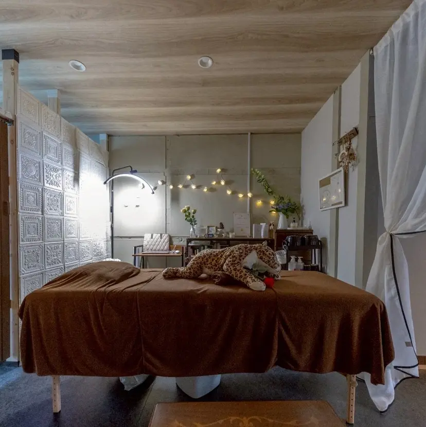 堀田 順子の掲載