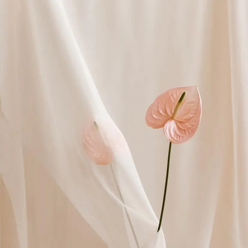 横田 瑞穂の掲載