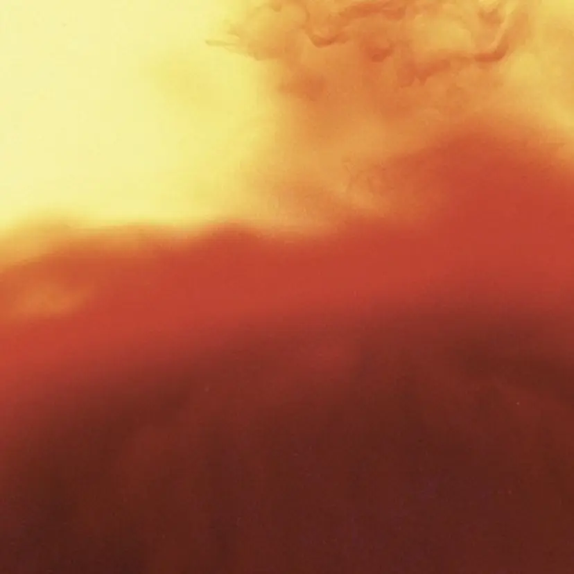 HARUKA NAKAMURAの掲載