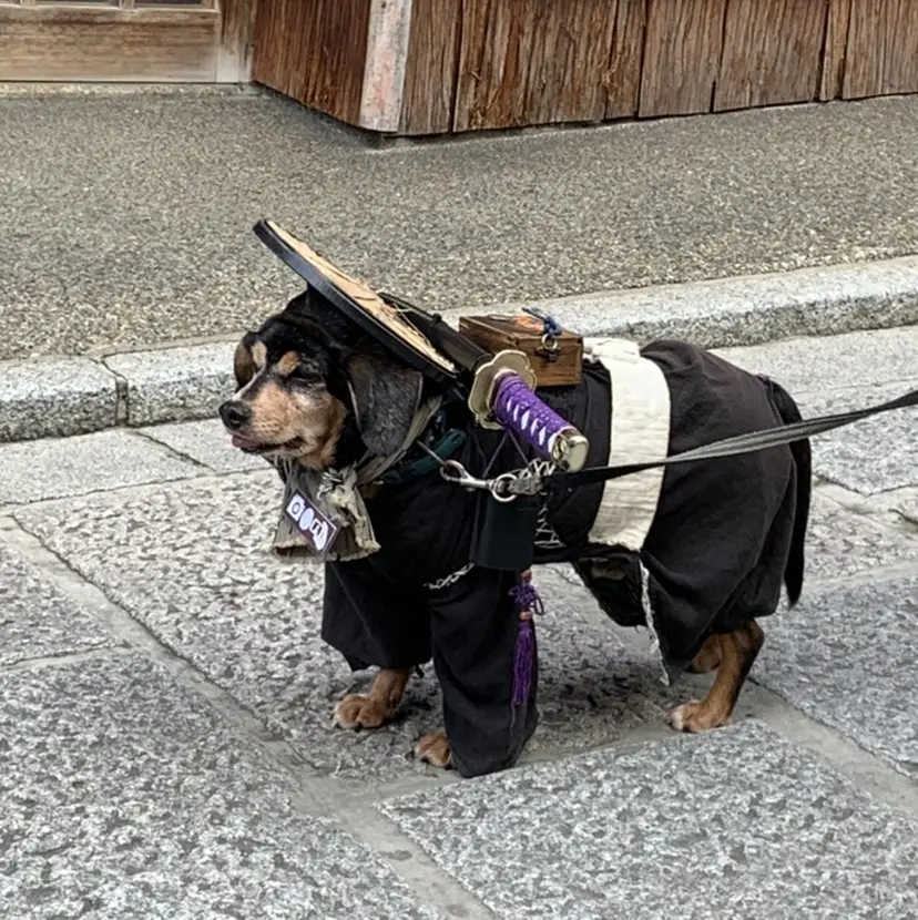 ボブ/レイヤー/ トレンドカラー春香の掲載