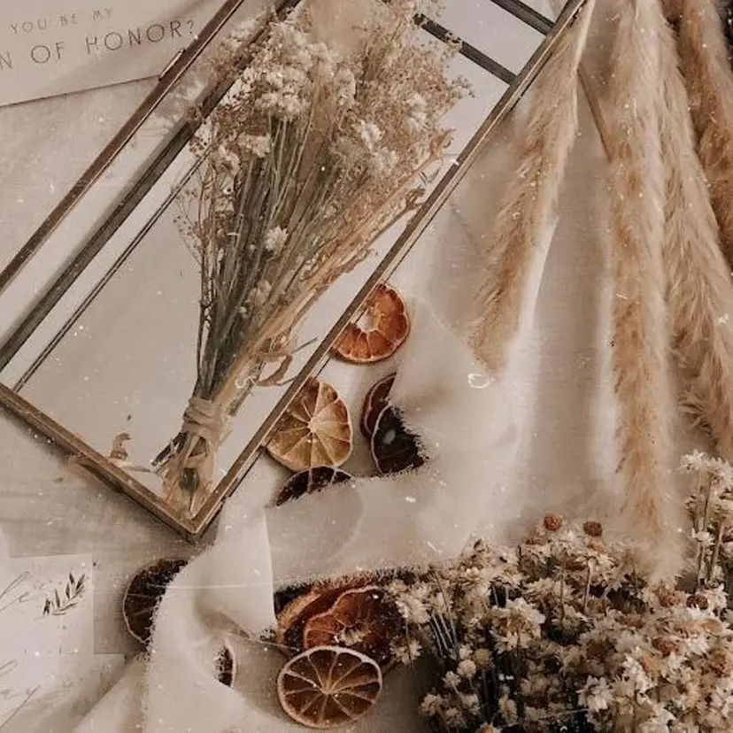 宍倉 実華の掲載