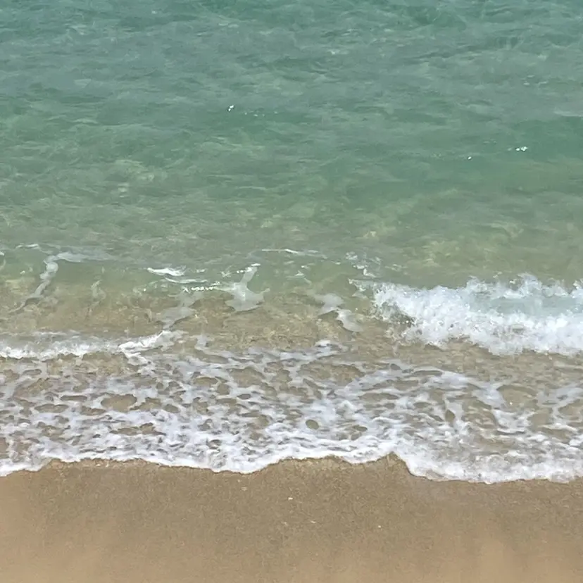 millie ainee太田の掲載