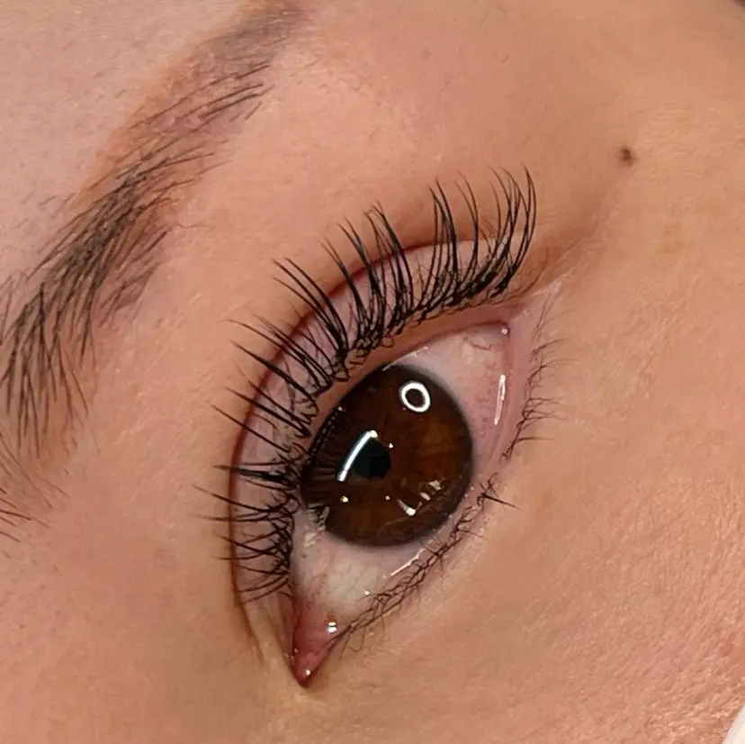 SAKAMOTO LISAの掲載