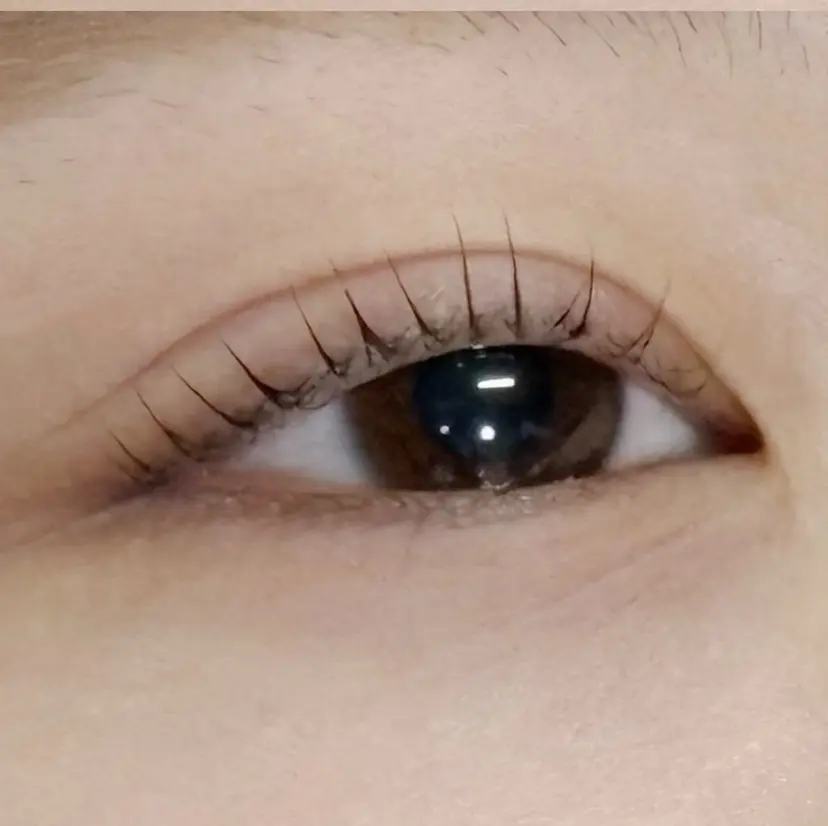 JANIS miria.の掲載